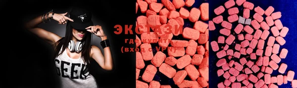 ECSTASY Семилуки