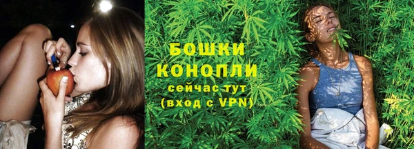 ECSTASY Семилуки
