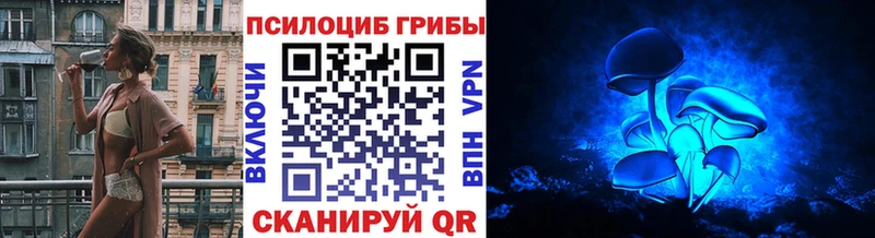 Псилоцибиновые грибы Magic Shrooms  Купить где  Коммунар 